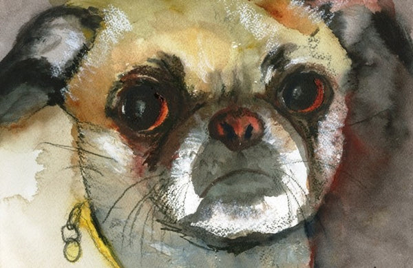 Custom Watercolor Dog Portrait