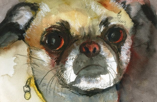 Custom Watercolor Dog Portrait